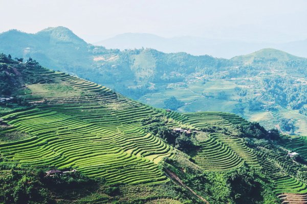 Combien coûte généralement un voyage organisé par une agence au Vietnam ?