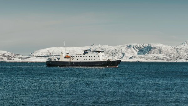 Croisières aux Fjords : Destinations, expériences et conseils pratiques